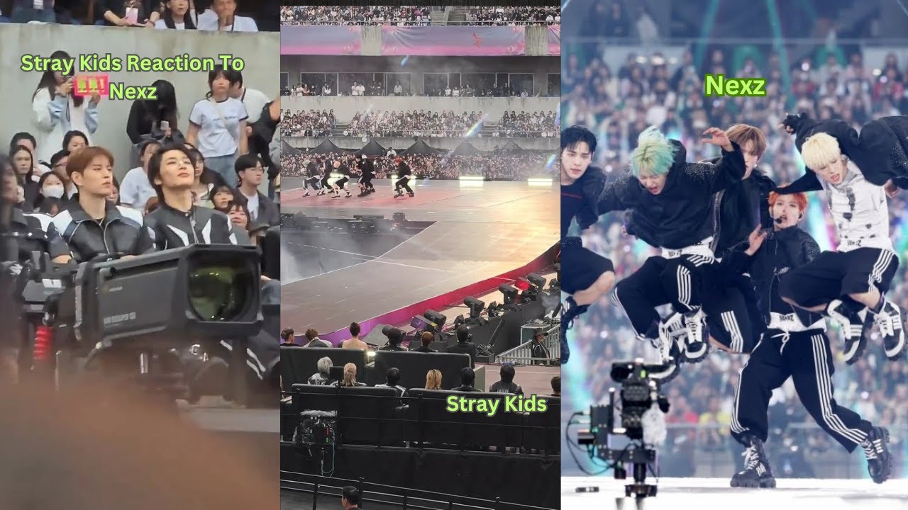 AAA 2025 ! Stray Kids Reaction To Nexz Performance Asia Artist Awards 2025