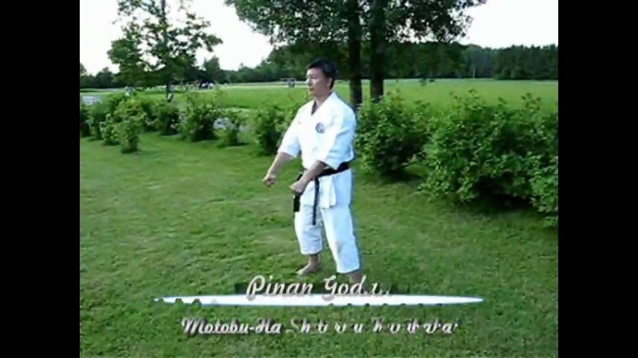 Shitoryu Pinan Kata 1-5 with bunkai drills.avi
