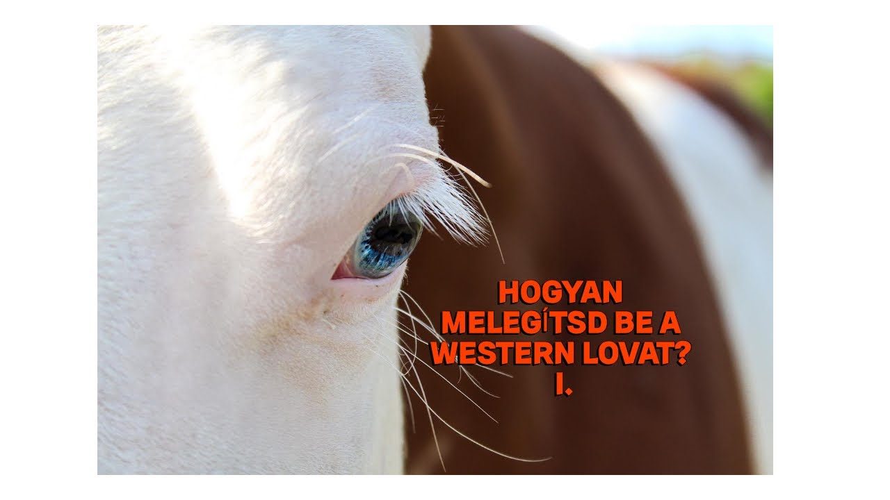 HOGYAN MELEGÍTSD BE A WESTERN LOVAT? I. // Mi is az összeszedettség? // NYEREGBEN VAGYOK EP 3