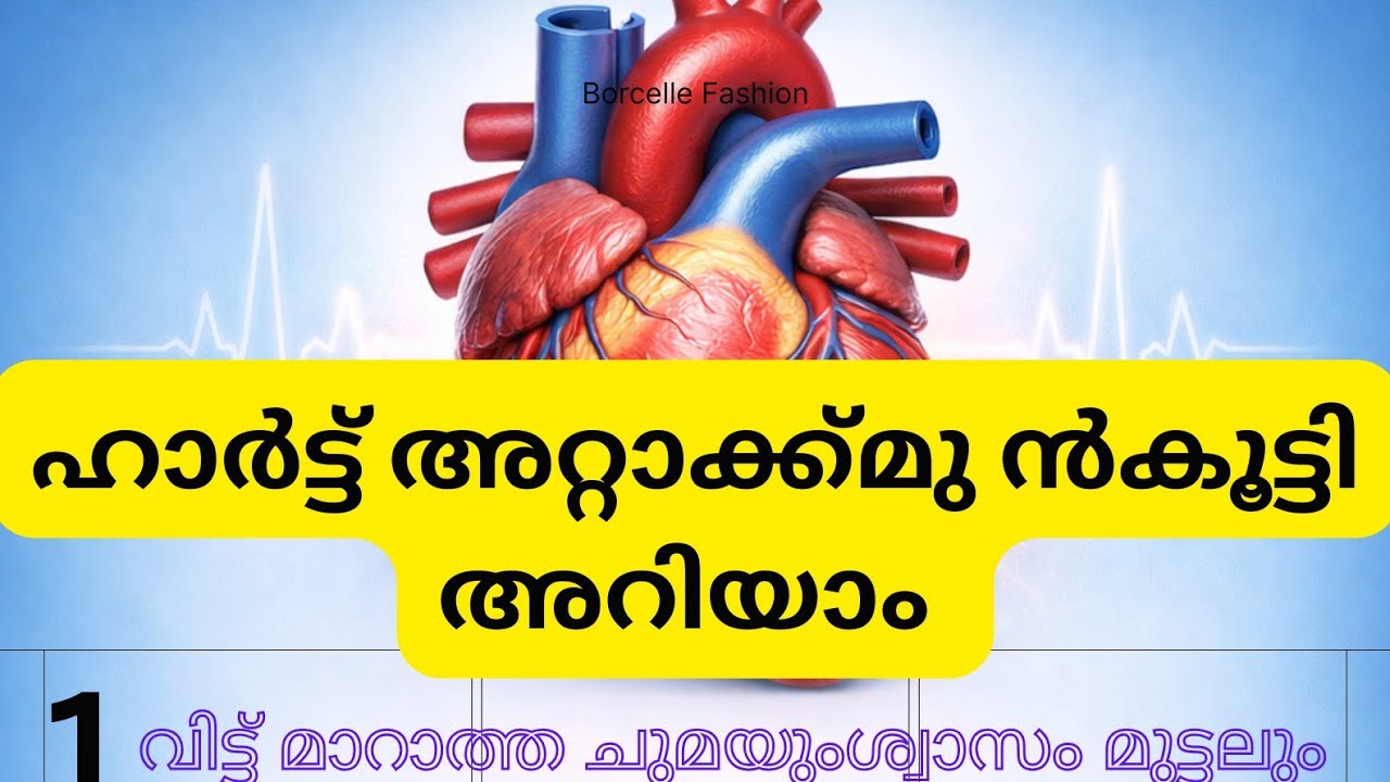💔ഹാർട്ട് അറ്റാക്ക് ❤️‍🔥മുൻകൂട്ടി അറിയാൻ 🧿 കഴിയും ❤️ ഈ ലക്ഷണങ്ങൾ