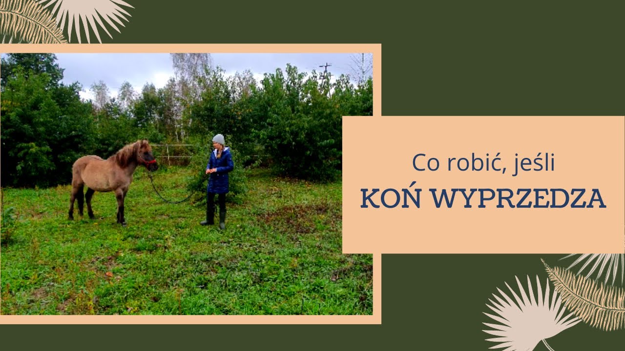 Co robić, gdy koń wyprzedza