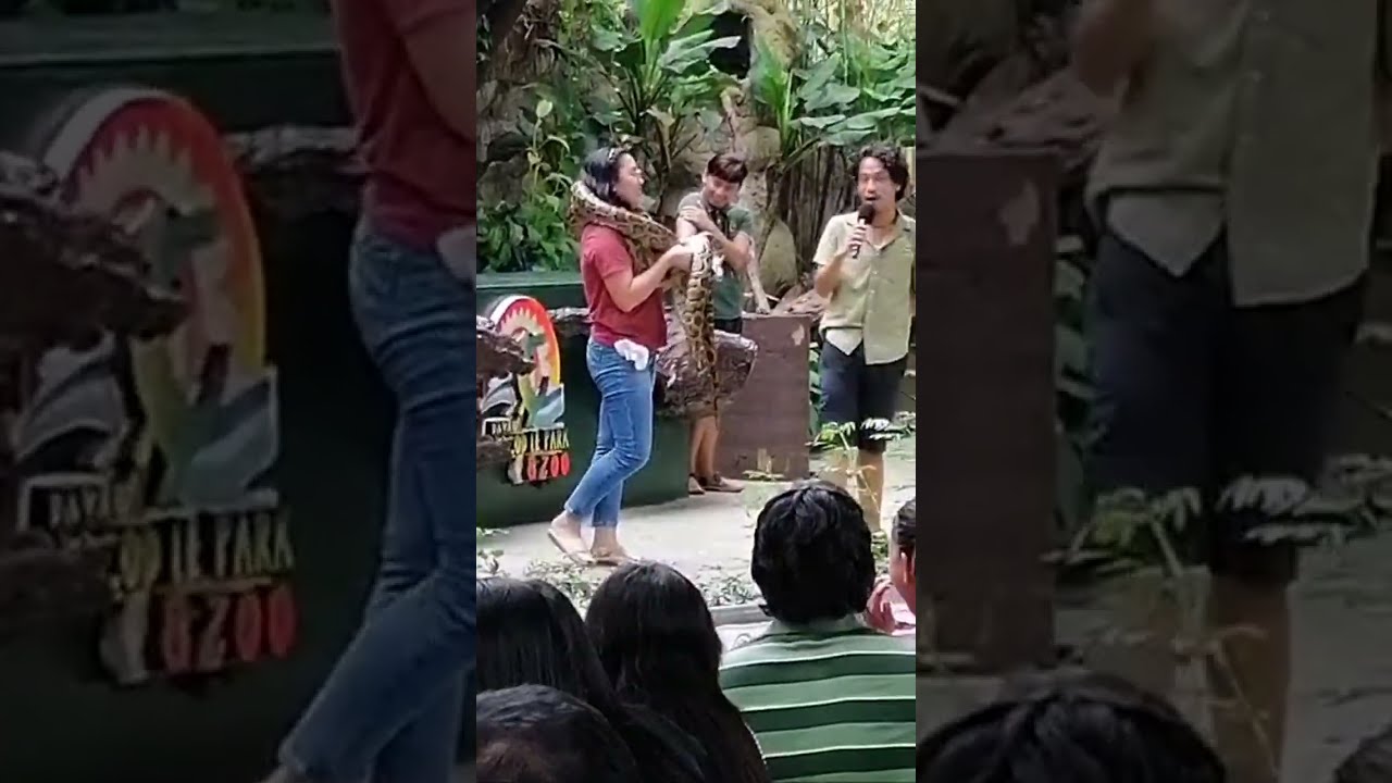 Animals Live Show at Davao Crocodile Park & Zoo||Pakals 'n Laag