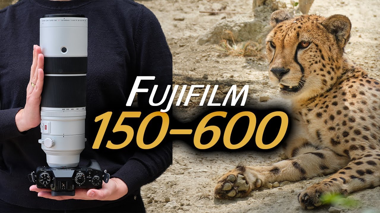 Test Fujifilm XF 150-600mm F5.6-8 : l'optique INDISPENSABLE pour l'animalier ?! vs XF100-400 ?