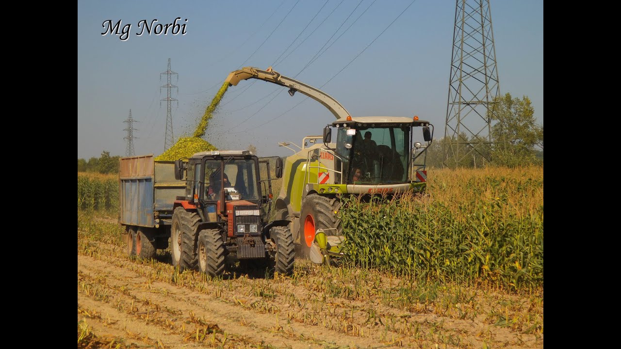Pinkamenti Gazdák Szövetkezete - {2015} - Kukorica silózás(Claas Jaguar 930, 4x Fendt 6x MTZ Claas