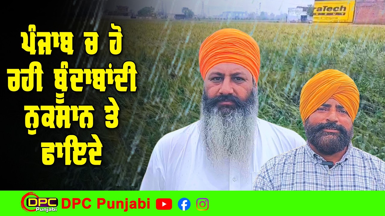 ਪਿਛਲੇ ਤਿੰਨ ਦਿਨਾਂ ਤੋਂ ਹੋ ਰਹੀ ਬੂੰਦਾਬਾਂਦੀ ਦੇ ਨੁਕਸਾਨ ਤੇ ਫਾਇਦੇ | ਕਿਸਾਨਾਂ ਨੇ ਕੀ ਕਿਹਾ ਫਸਲ ਬਾਰੇ DPC Punjabi
