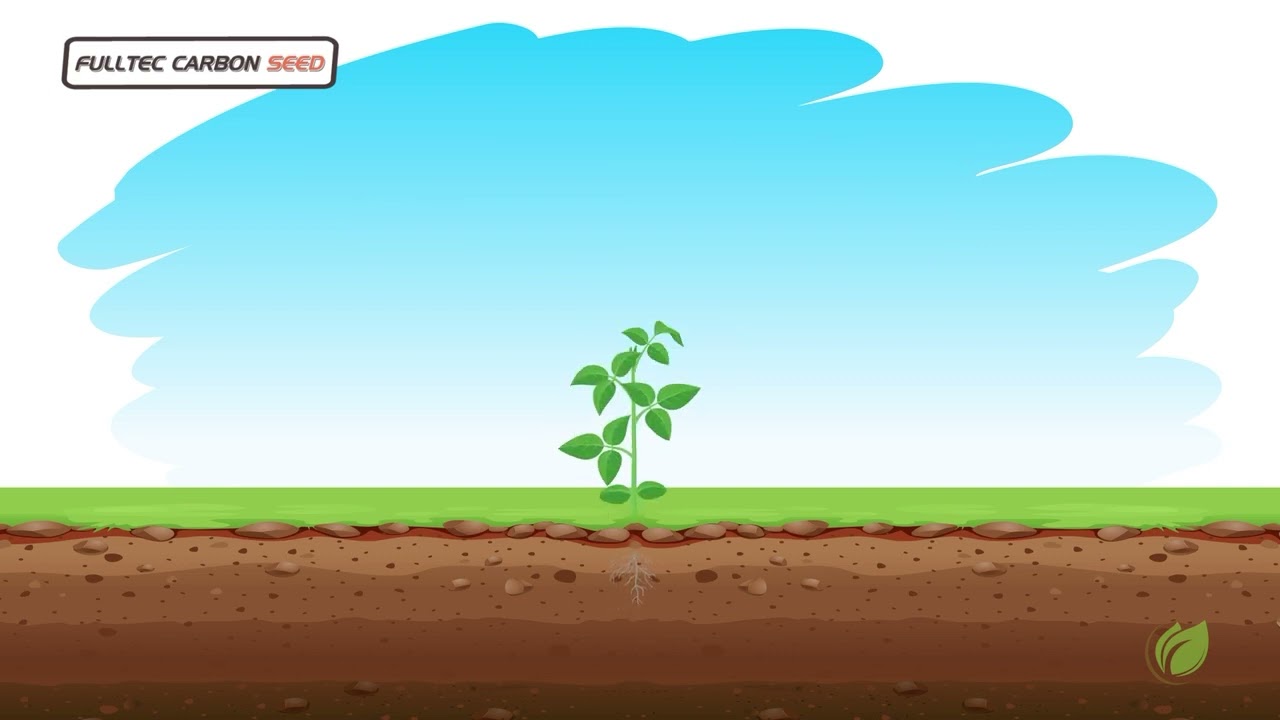 Fulltec Carbon Seed