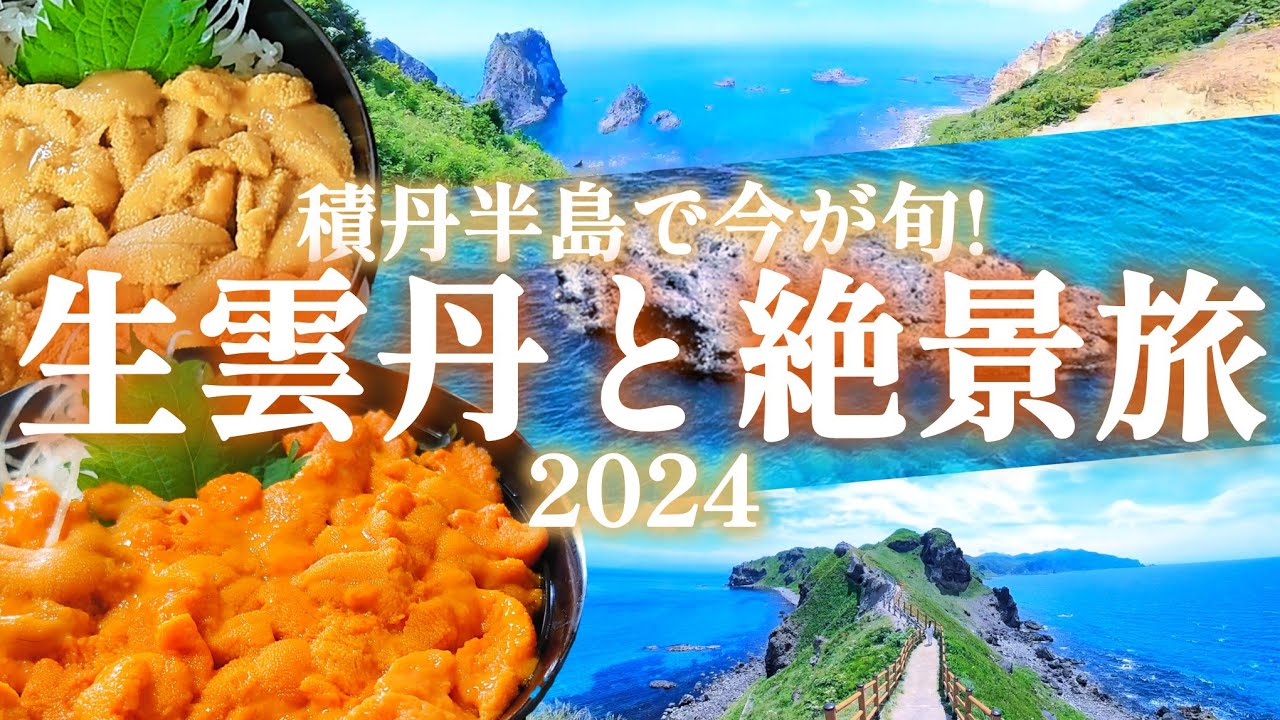 【今だけの贅沢】積丹の生ウニ丼と絶景に感動の嵐でした【絶景サウナも紹介】
