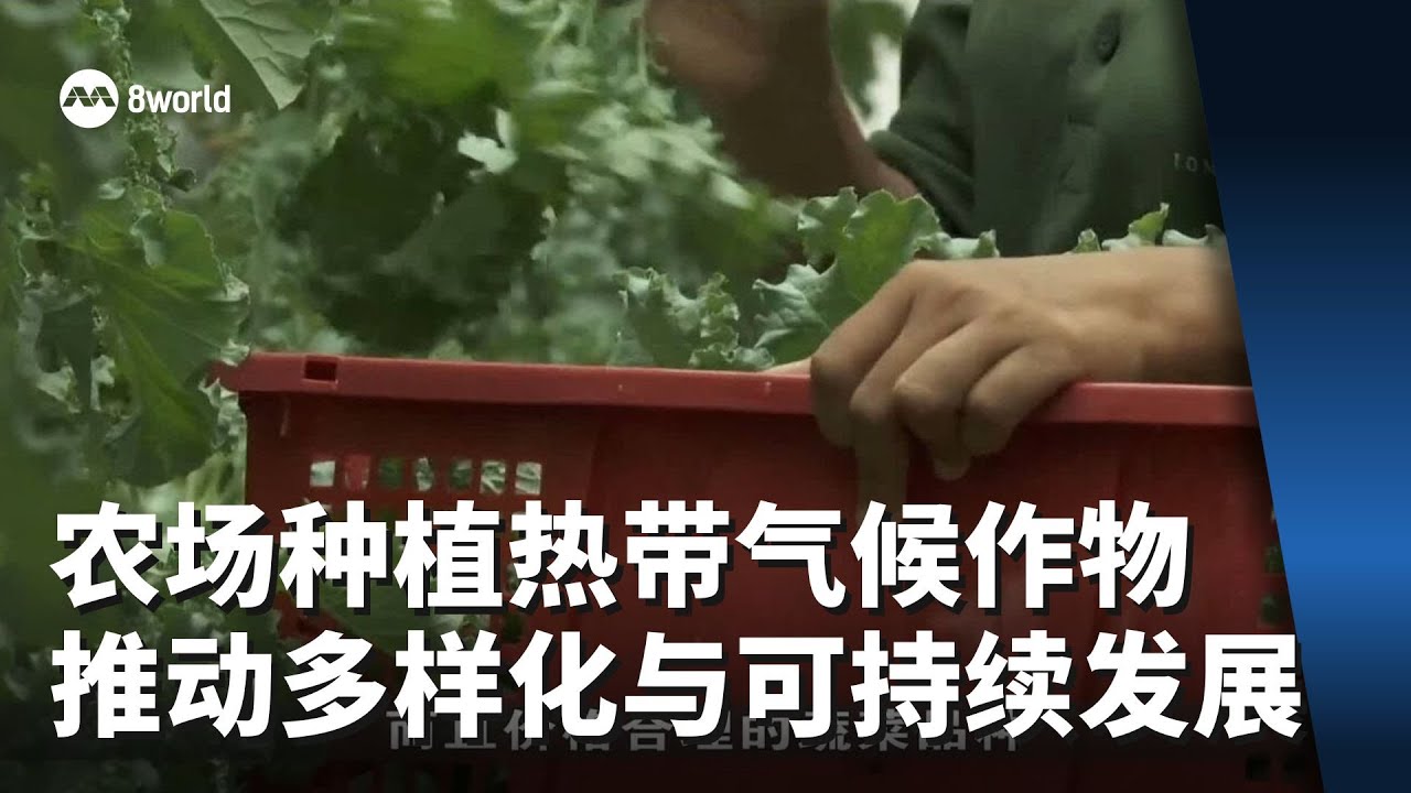 我国农场转向种植热带气候成本较低作物 推动多样化与可持续发展