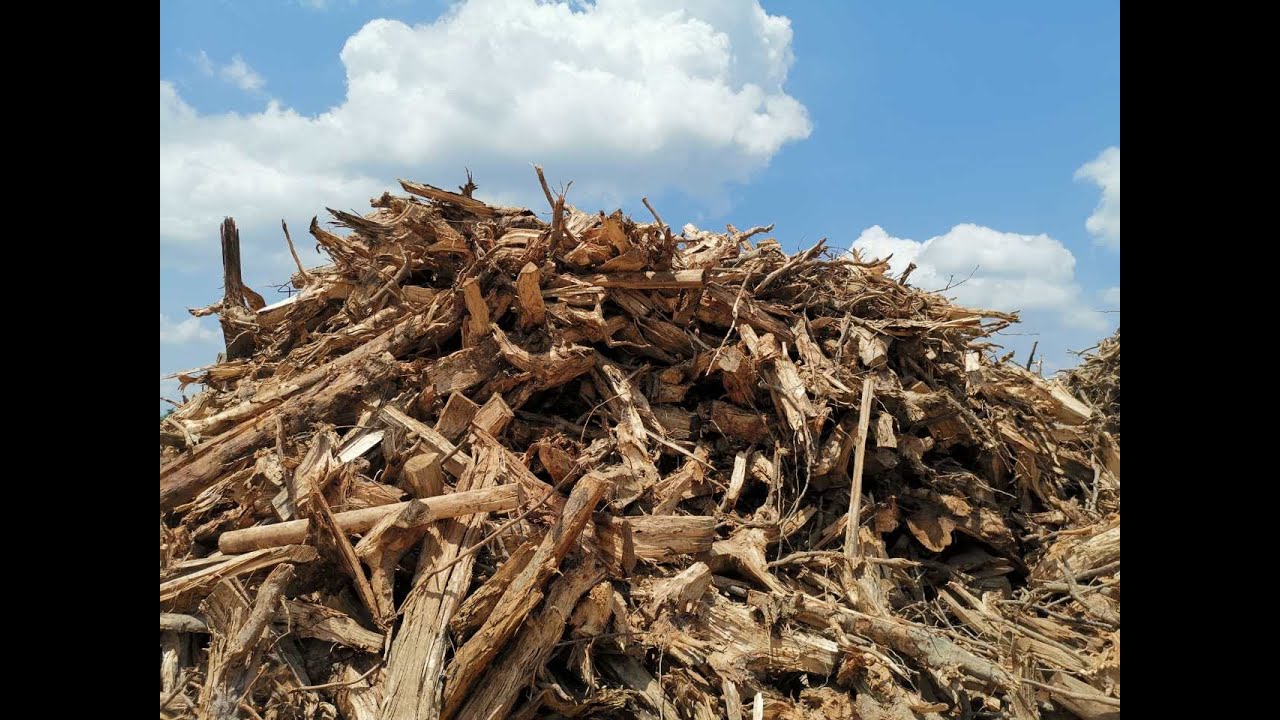 Waste wood recycling machine in Algeria | Machine de recyclage des déchets de bois en Algérie