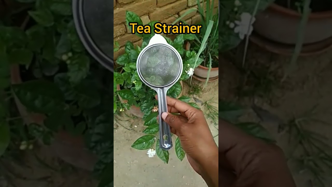 Chai ke chaanni in English ll Tea Strainer#shorts #ytshorts @FAMILYENCYCLOPEDIA