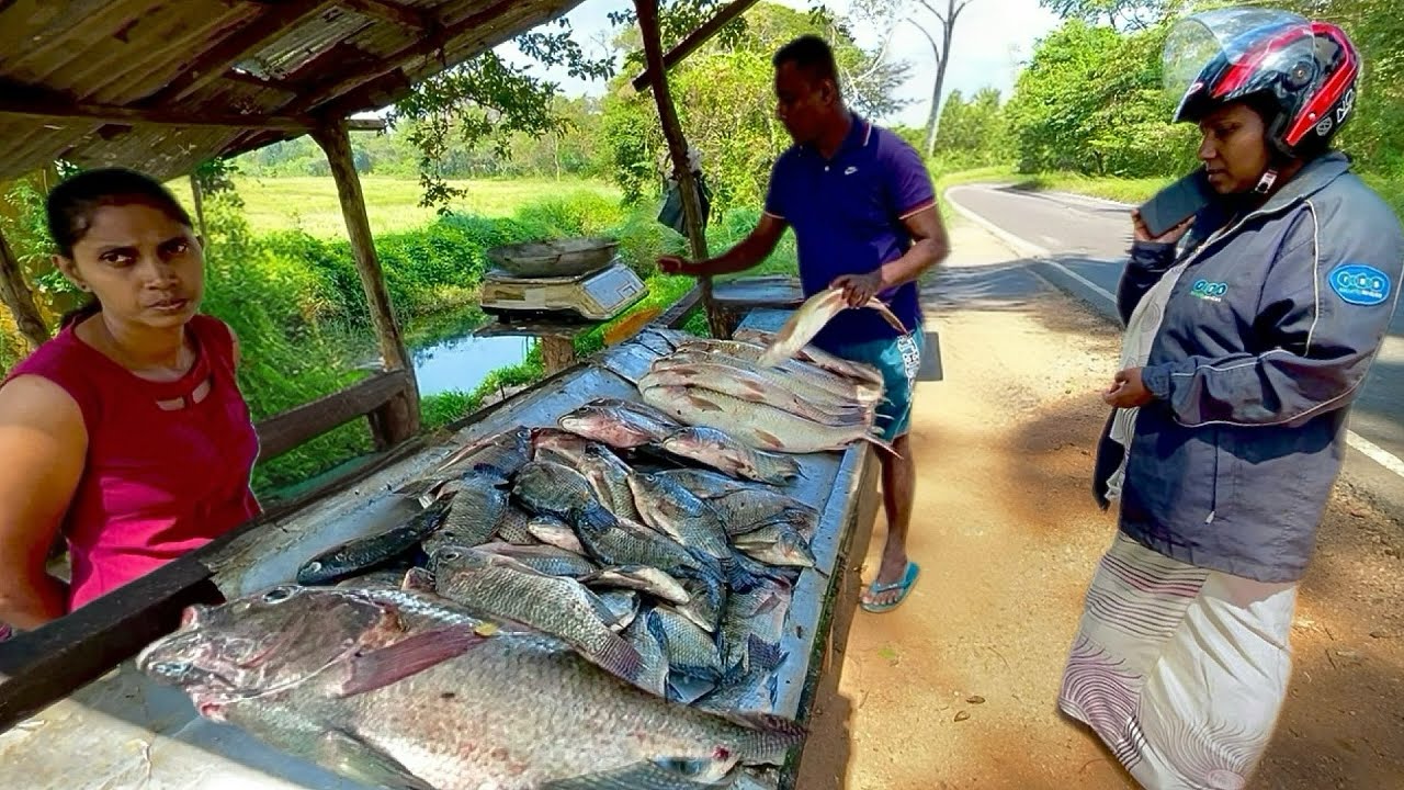 Wow!! Amazing Riverside Wild Fish Preparation Technique REVEALED