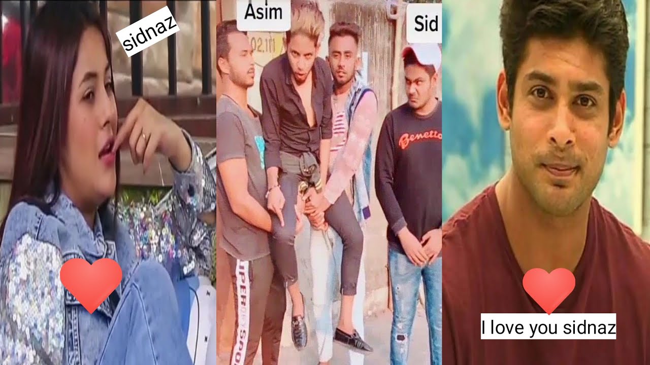 #shehnaz Gill💖💓💞 shehnaz Gill new tik Tok video #SIDNAZ💞💗💓 shehnaz Gill