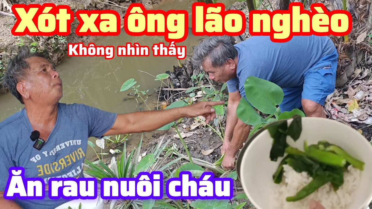 Xót xa ông lão nghèo không nhìn thấy , ăn rau nhường đồ ăn cho cháu nội , Bột trà ôn 