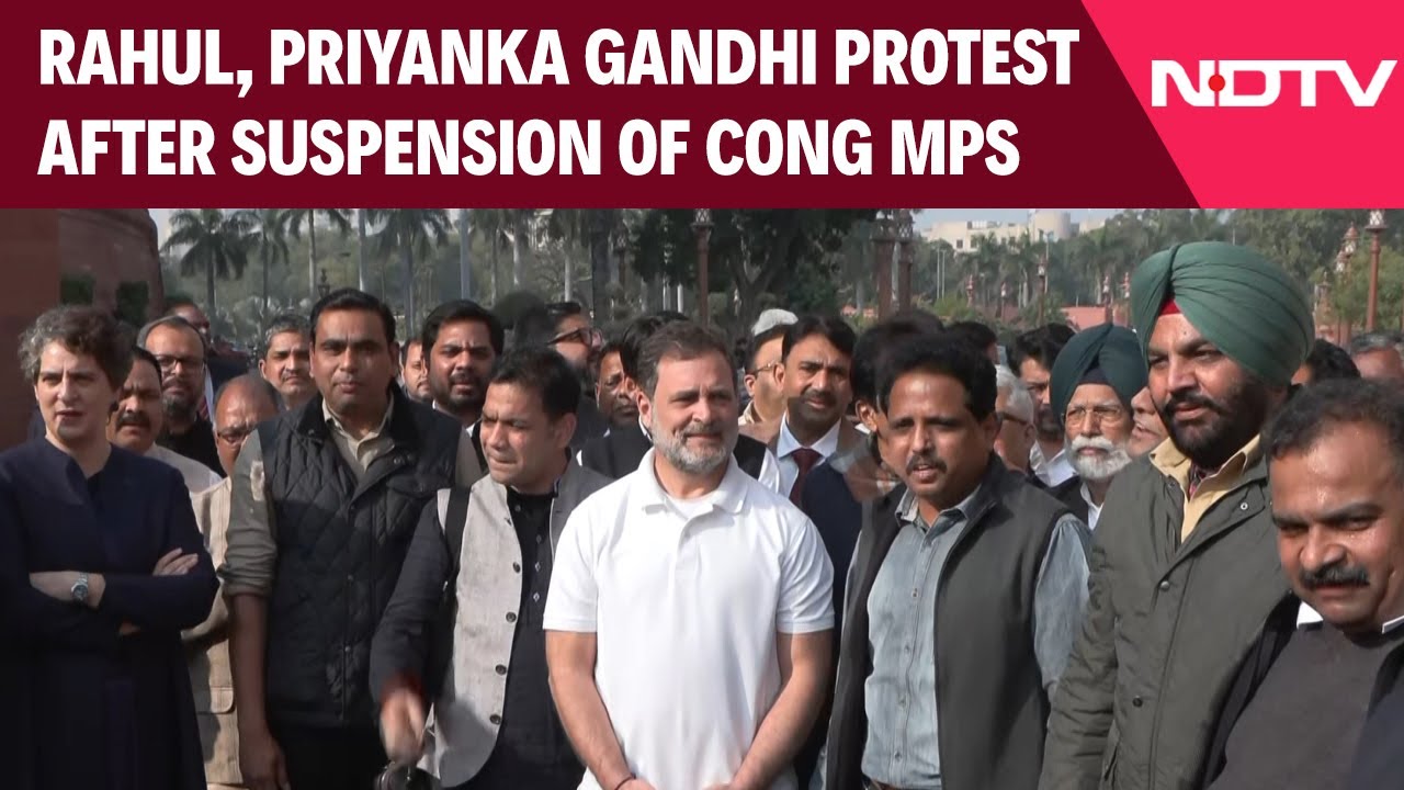 Rahul Gandhi, Priyanka Gandhi Protest After Suspension Of 8 MPs In Lok Sabha