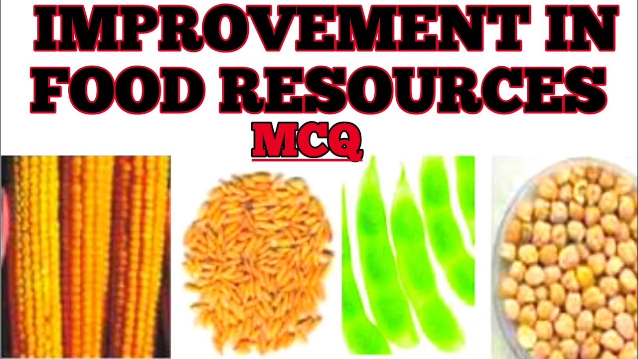 IMPROVEMENT IN FOOD RESOURCES CLASS 9 MCQ/IMPROVEMENT IN FOOD RESOURCES CLASS 9/FOOD RESOURCES 