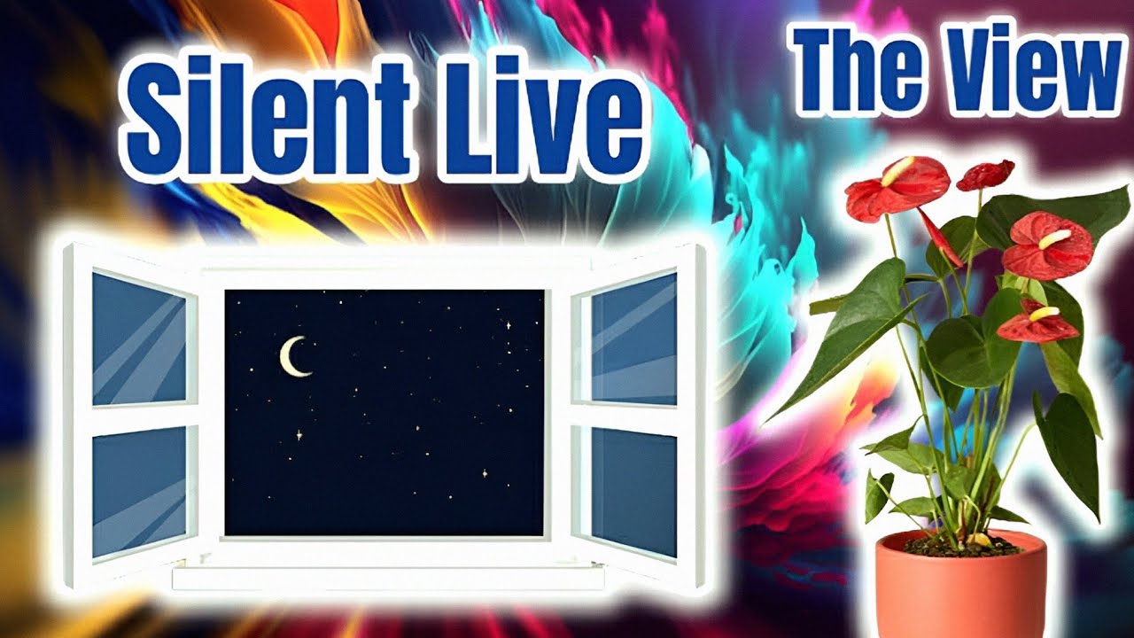 the crane man is silent live! enjoy the view from my bedroom window at 12am 🔴
