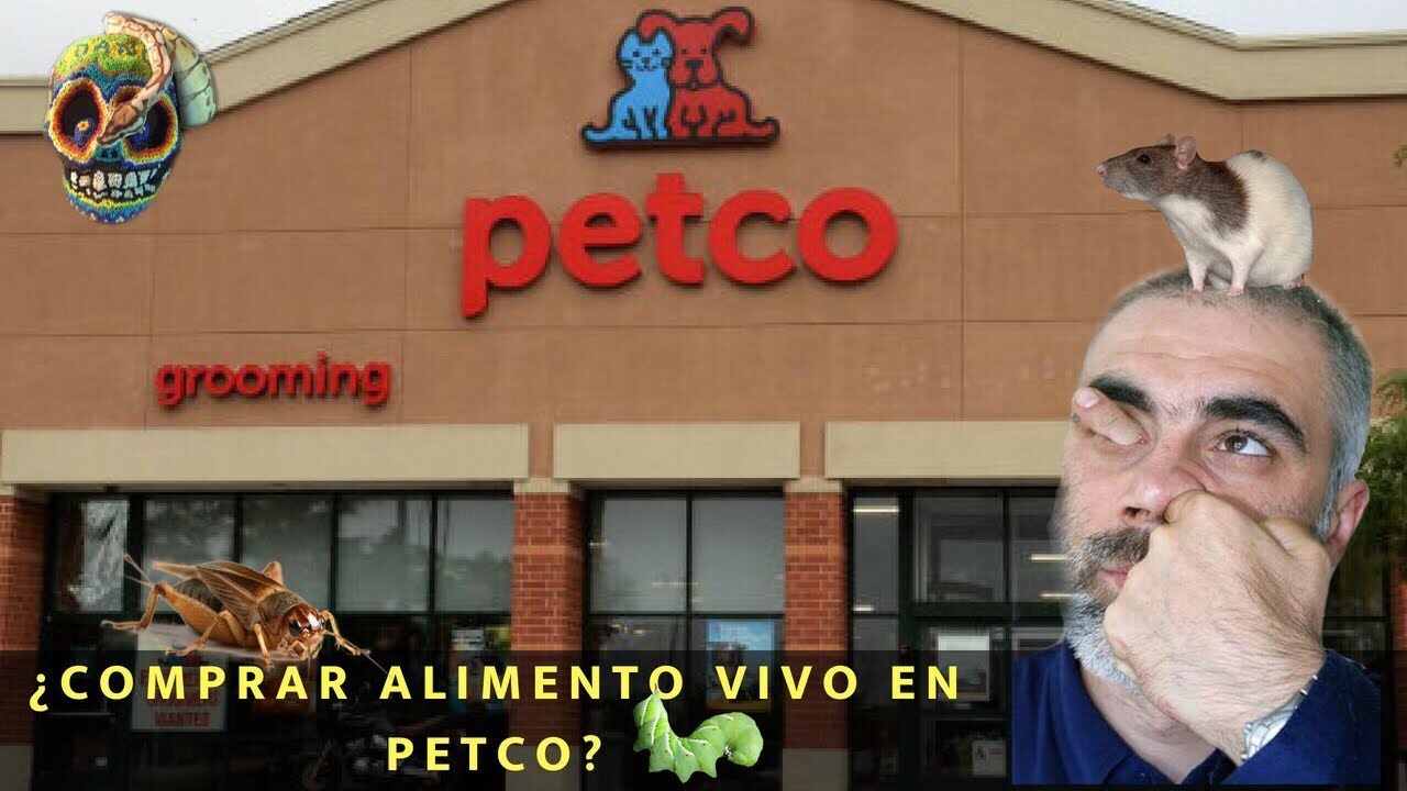 ¿Es bueno comprar en Petco? Alimento para reptiles  MORDIDA DE SERPIENTE