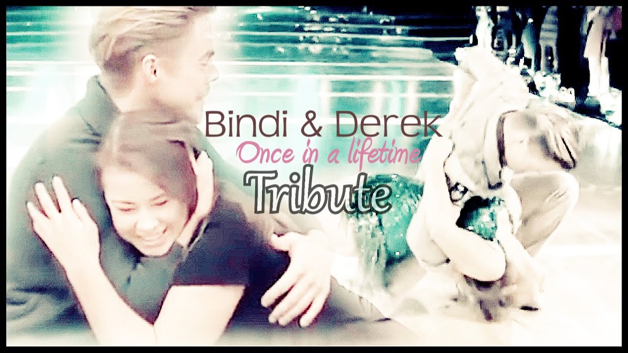 Bindi & Derek || Tribute (Once in a lifetime)
