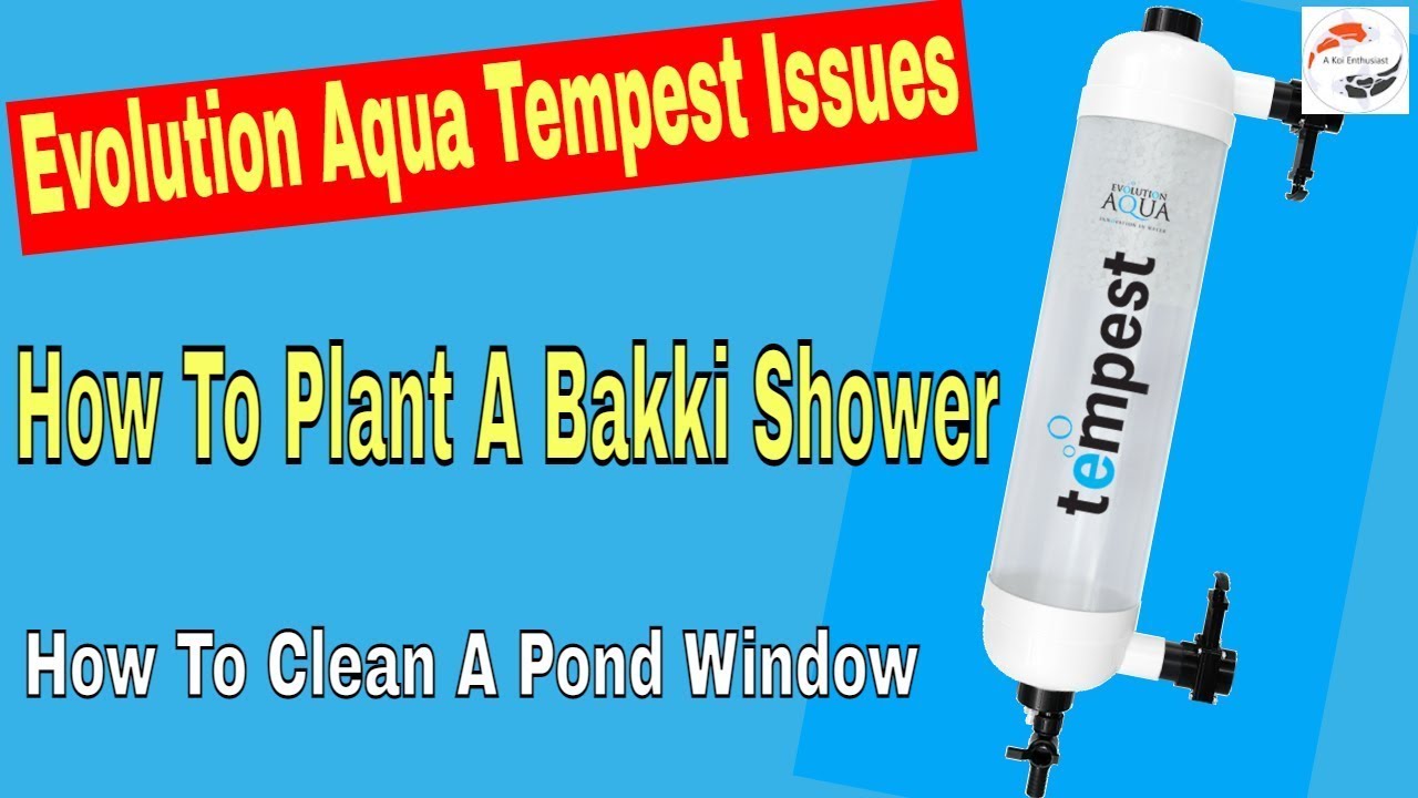 Evolution Aqua Tempest Issues - How To Plant A Bakki Shower - How To Clean A Pond Window