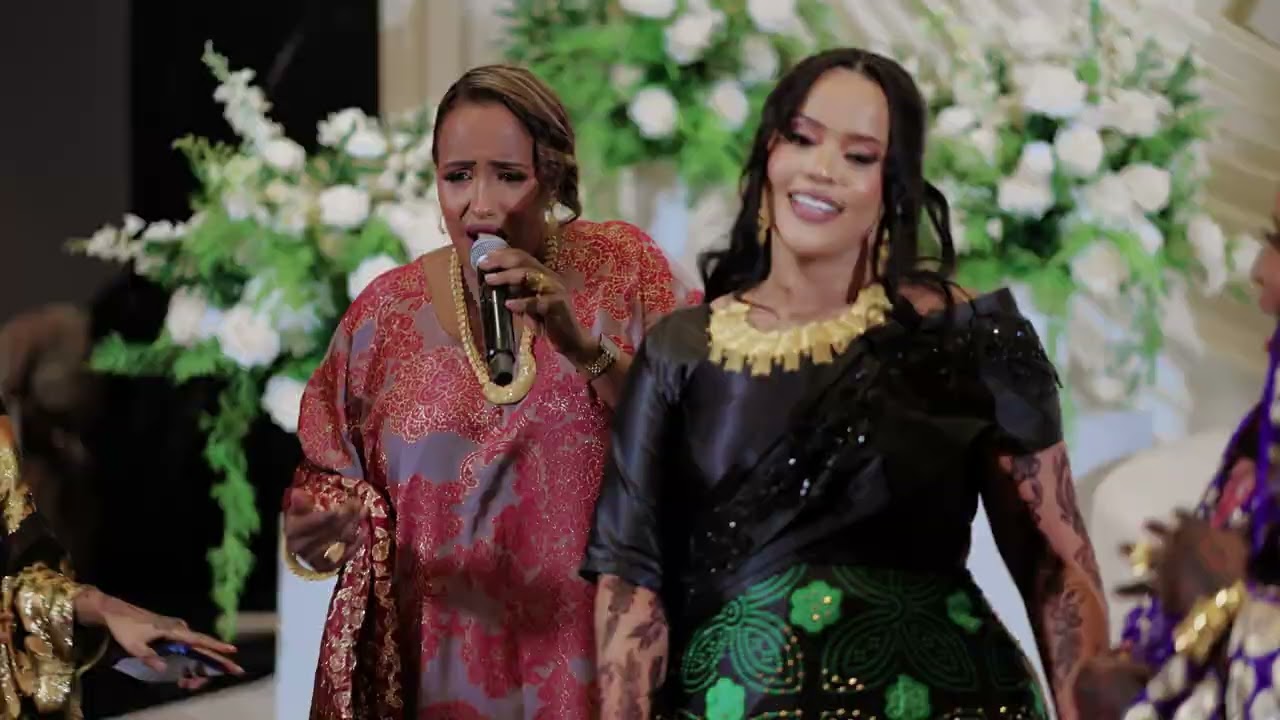 HODAN ABDIRAHMAN | DHIIGA IYO DHUUXA | OFFICIAL MUSIC VEDIO 2025