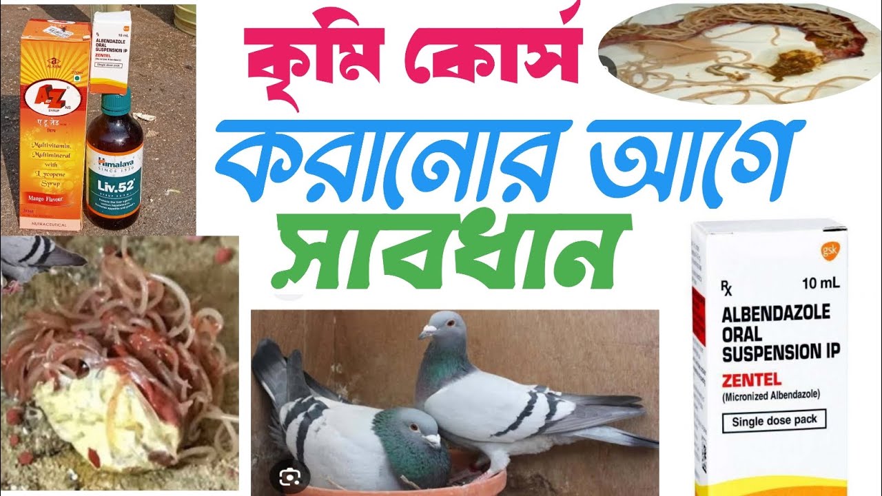 পায়রার কৃমি কোর্স করানোর জন্য আমি কি কি ঔষধ ব্যবহার করি তার সম্পুর্ন পদ্ধতি।