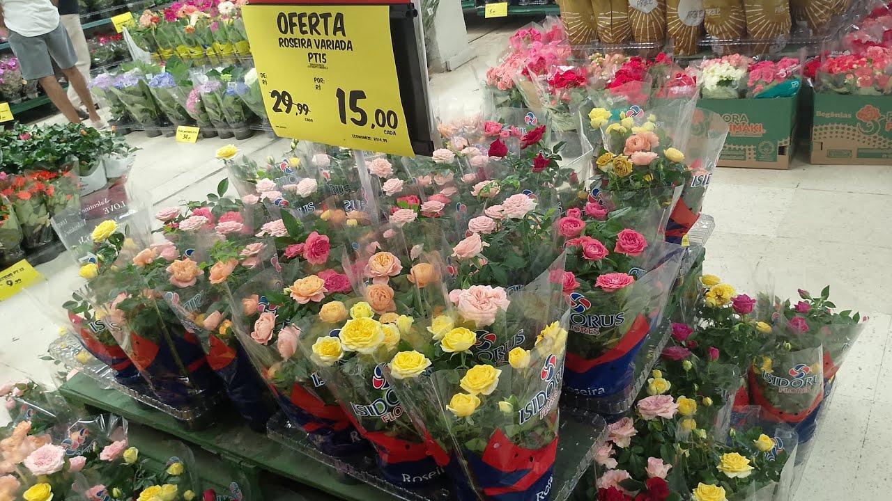 Plantas CARREFOUR 2 parte de Quinta 5 / 3 / 20 26 Norte Shopping RJ muitas plantas floridas 