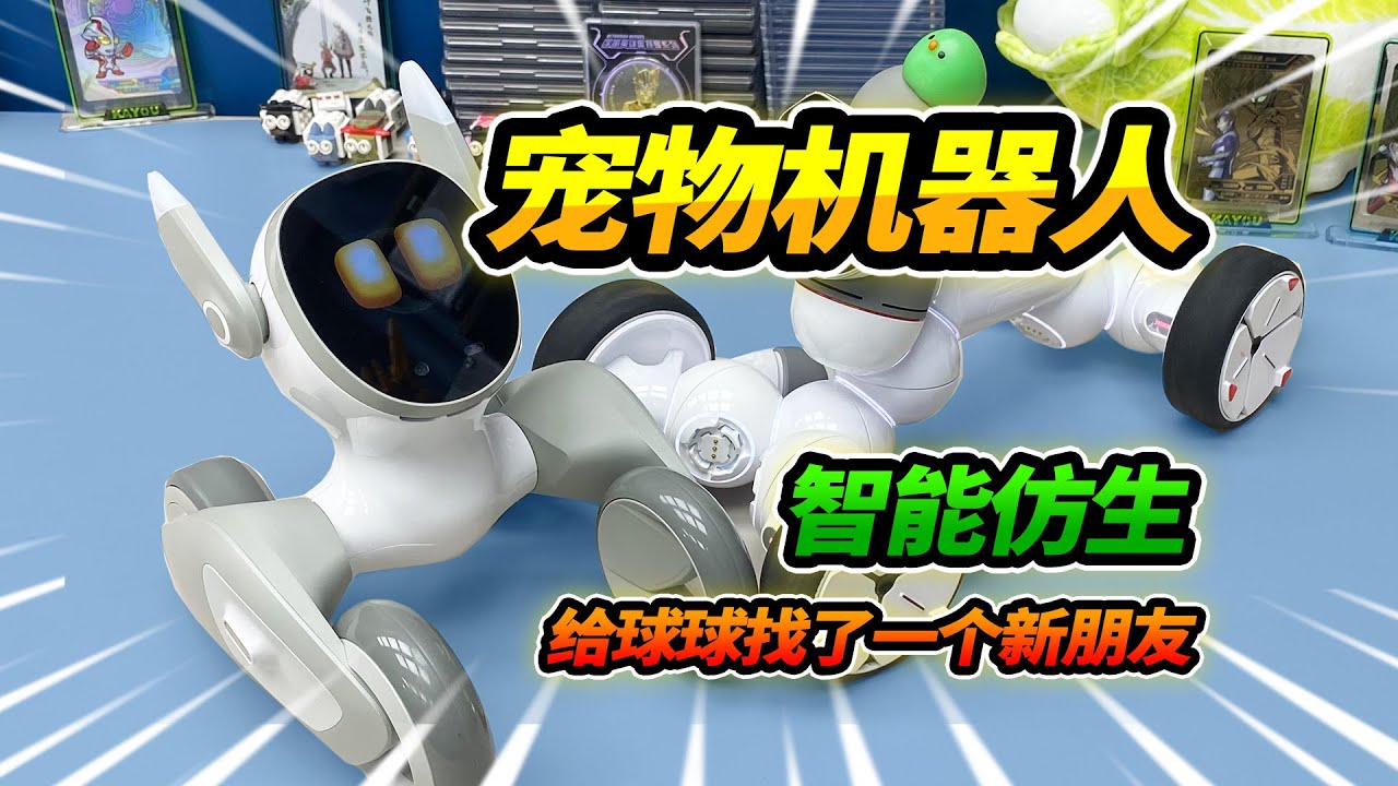 買仿生寵物機器人loona，給可立寶球球做朋友，一起玩遊戲互動