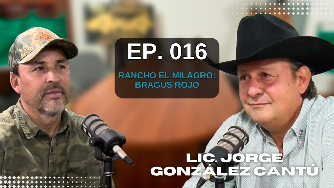 RANCHO EL MILAGRO: BRANGUS ROJO