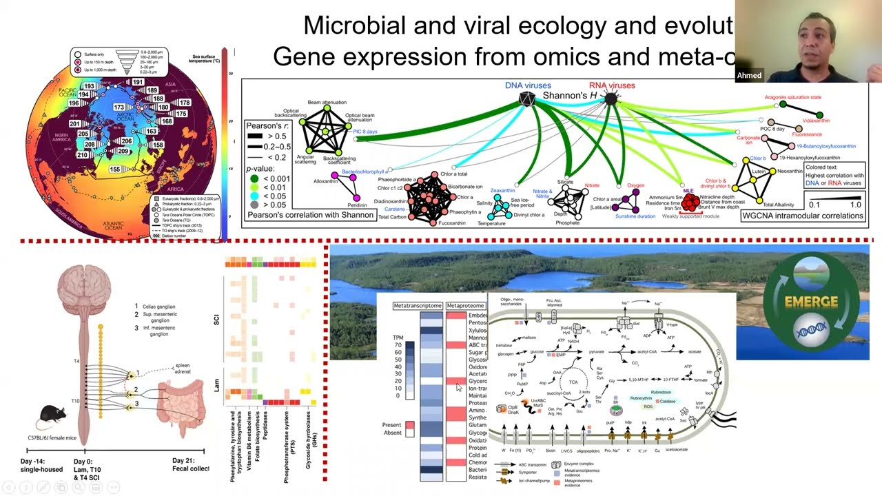 Advanced ecological statistics for microbiomes | Ahmed Zayed
