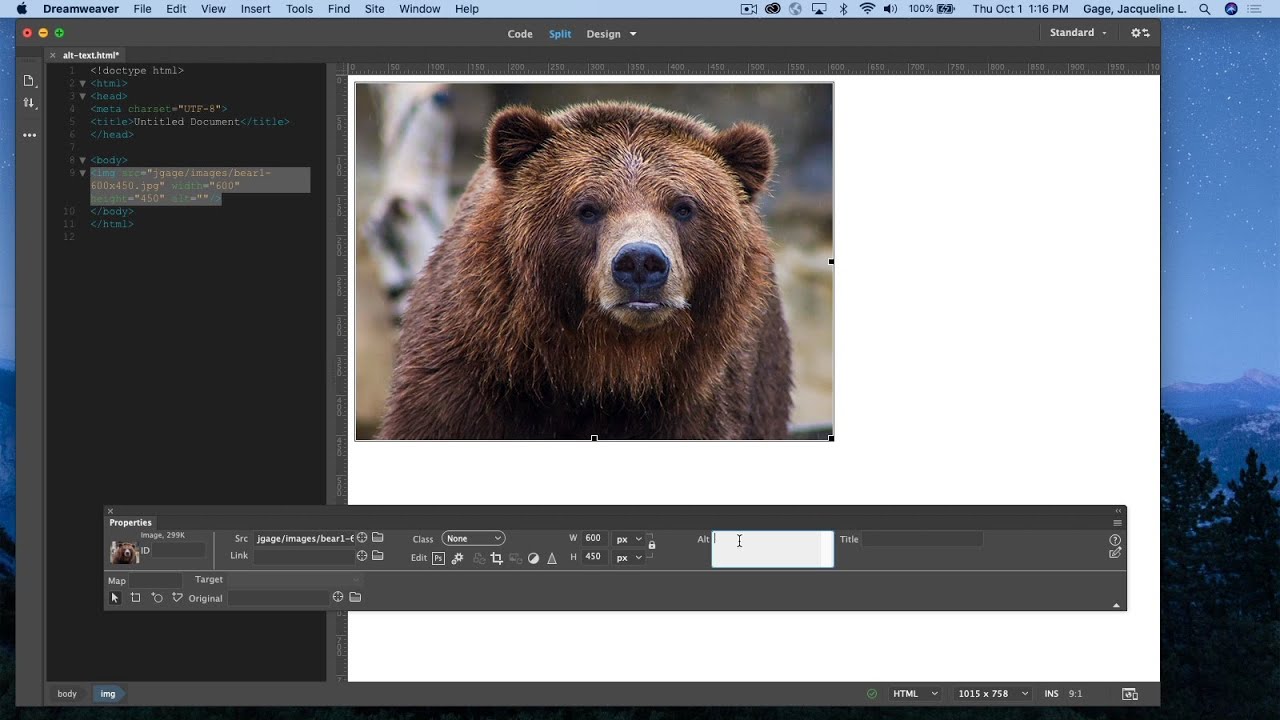 Dreamweaver CC 2020 - alternative text (alt text)