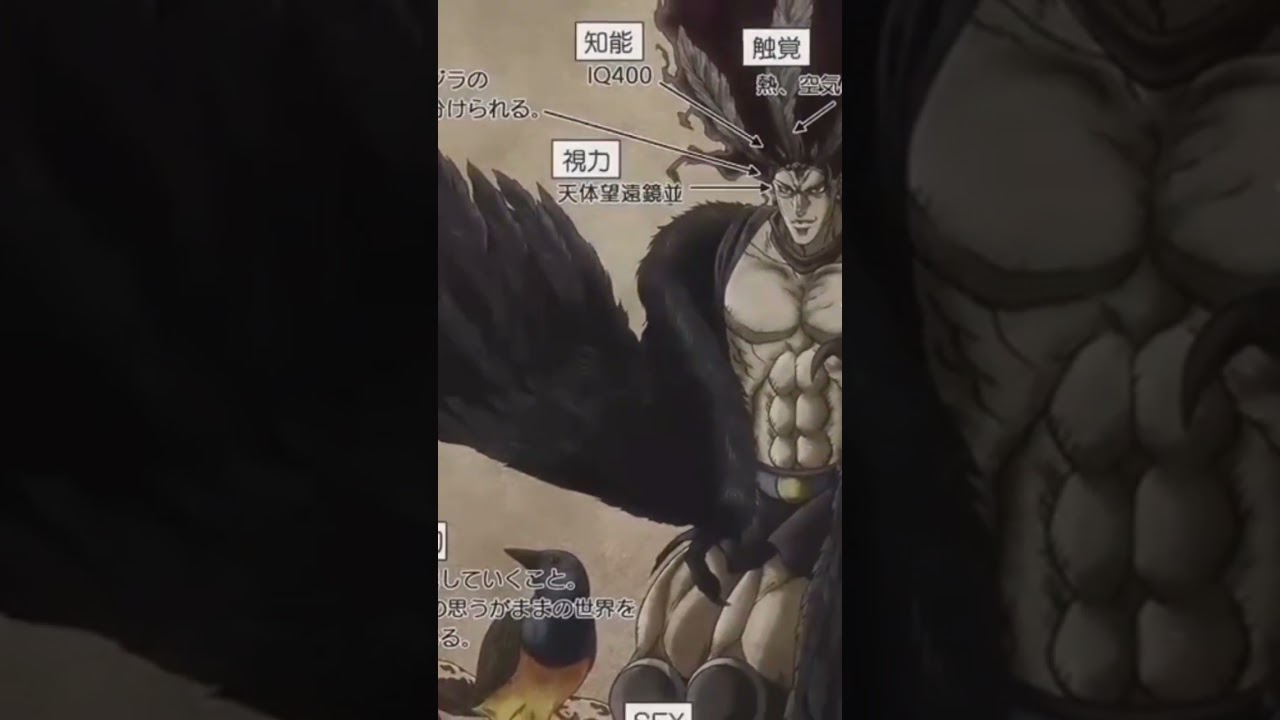 #jojo