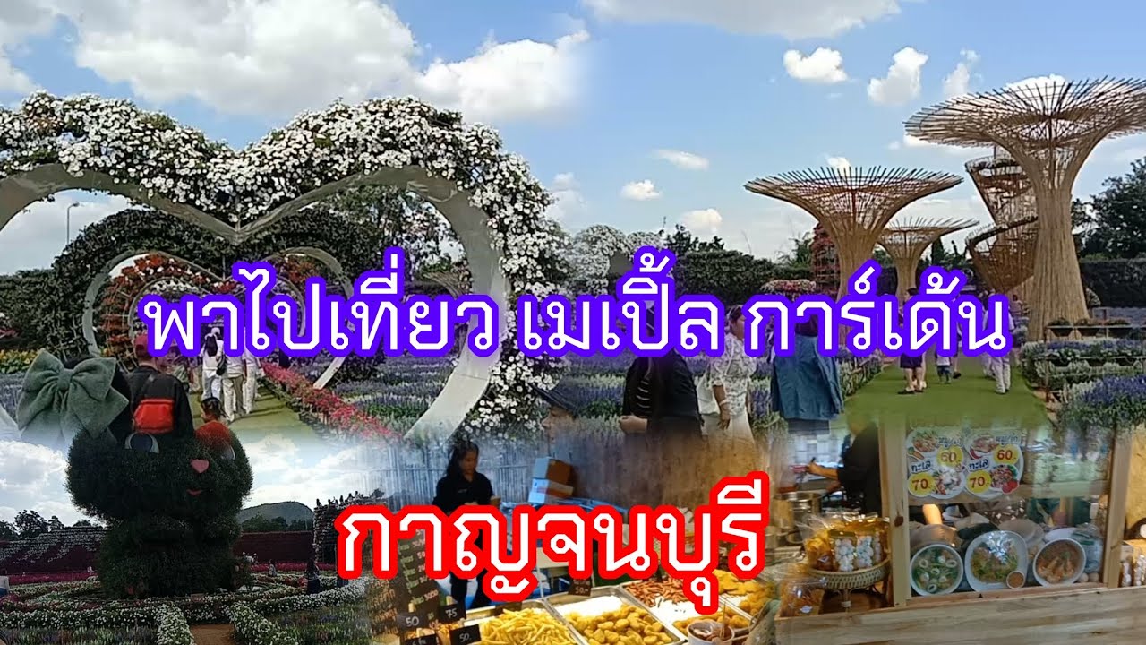 พาไปเที่ยว เมเปิ้ล การ์เด้น กาญจนบุรี ดอกไม้เยอะมาก