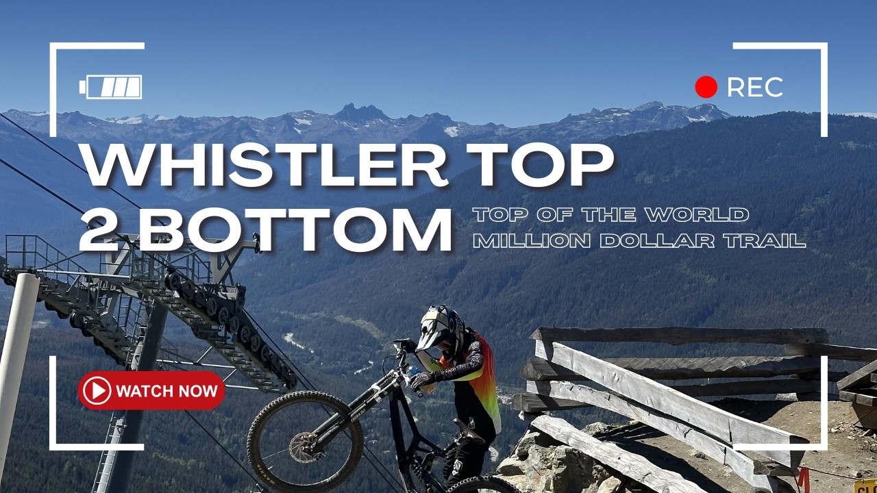 WHISTLER - TOP OF THE WORLD - MILLION DOLLAR TRAIL - BENGAL BEAR.    ! RAW !
