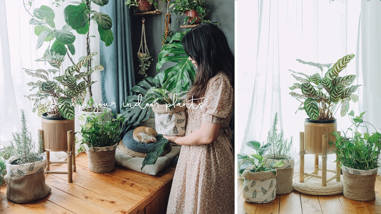 Sub) 4 Easy Ways to Dress Up for Your Indoor Plants | DIY Plant Pots Cover & Plant Stands Ideas