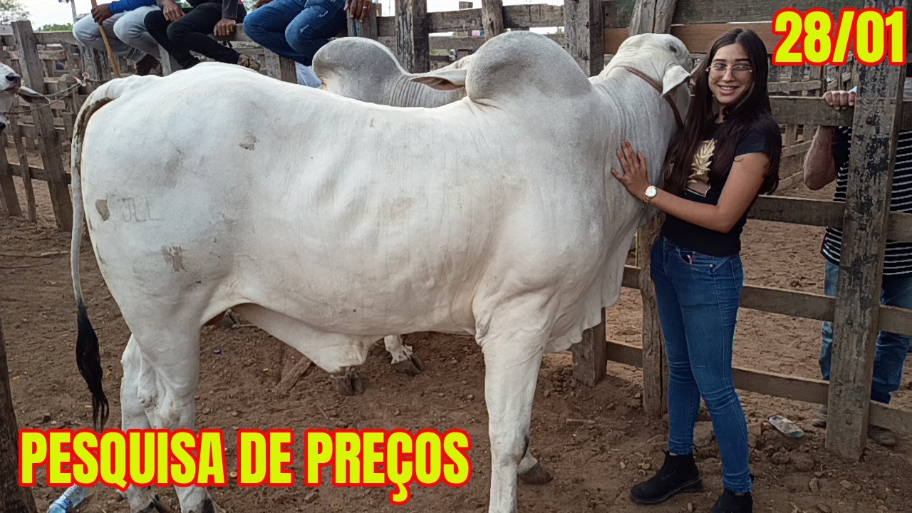 Pesquisa de preços de Madrugada em Tabira-PE (28/01/26)