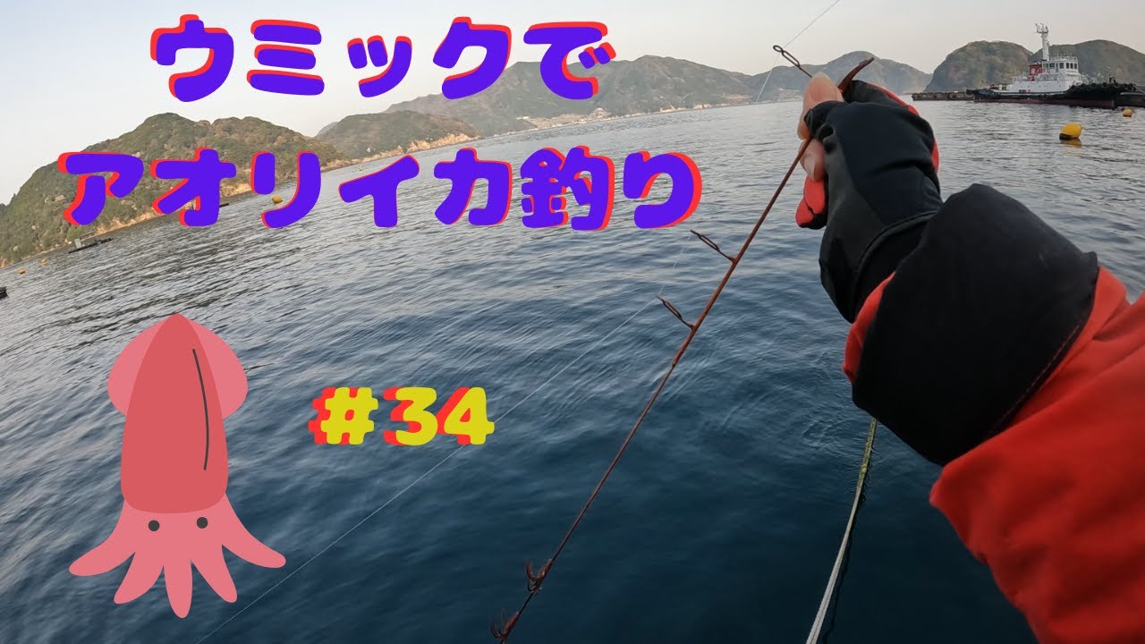 【チヌかかり釣り】ウミックでアオリイカのヤエン釣り🦑