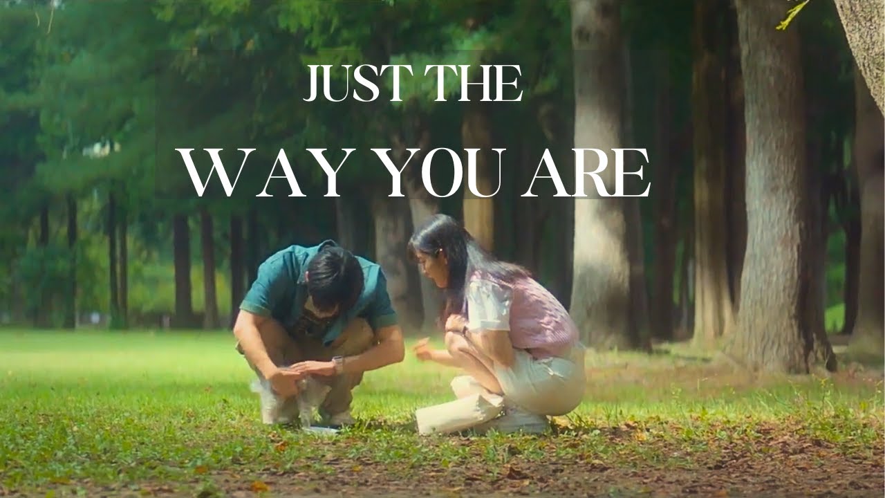 Twinkling Watermelon (Just The Way You Are) FMV