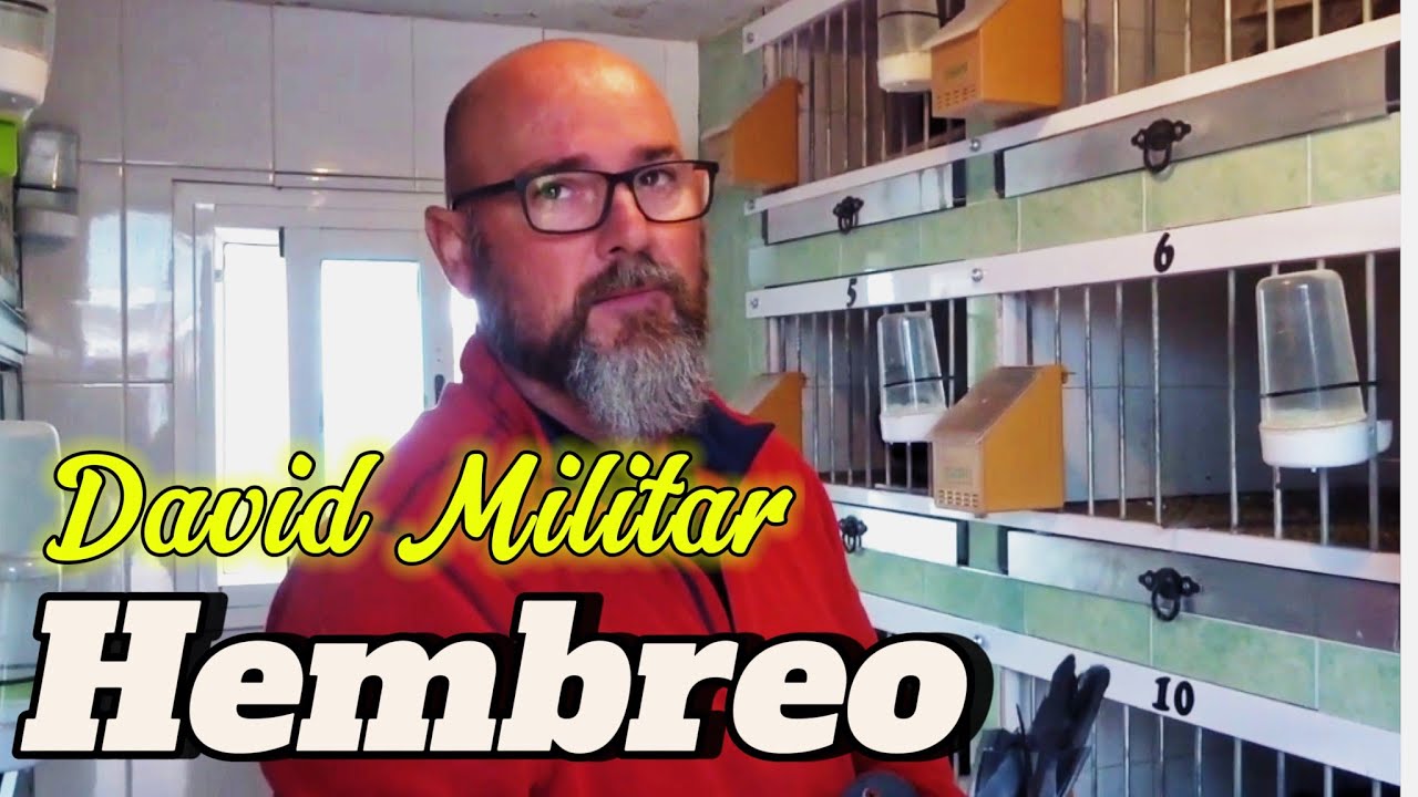 ESTE palomar Tiene IMPRESIONANTES palomos de HEMBREO!