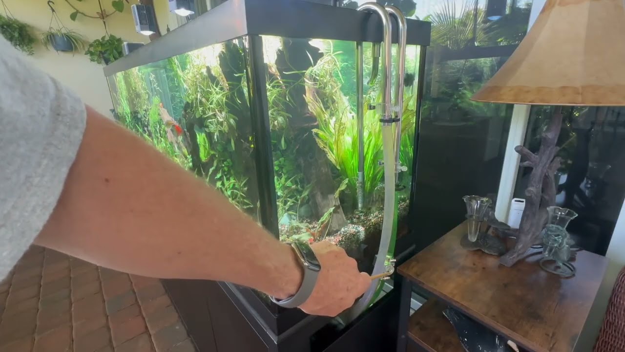 This is incredible: Update on the two week old 125 gallon aquarium .What's up with the plant roots?