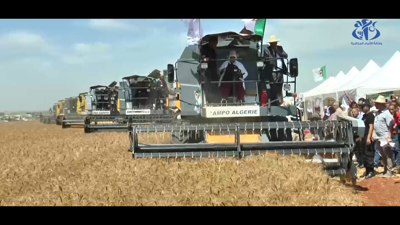 البويرة: وزير الفلاحة يعطي إشارة انطلاق حملة الحصاد و الدرس بالولايات الشمالية