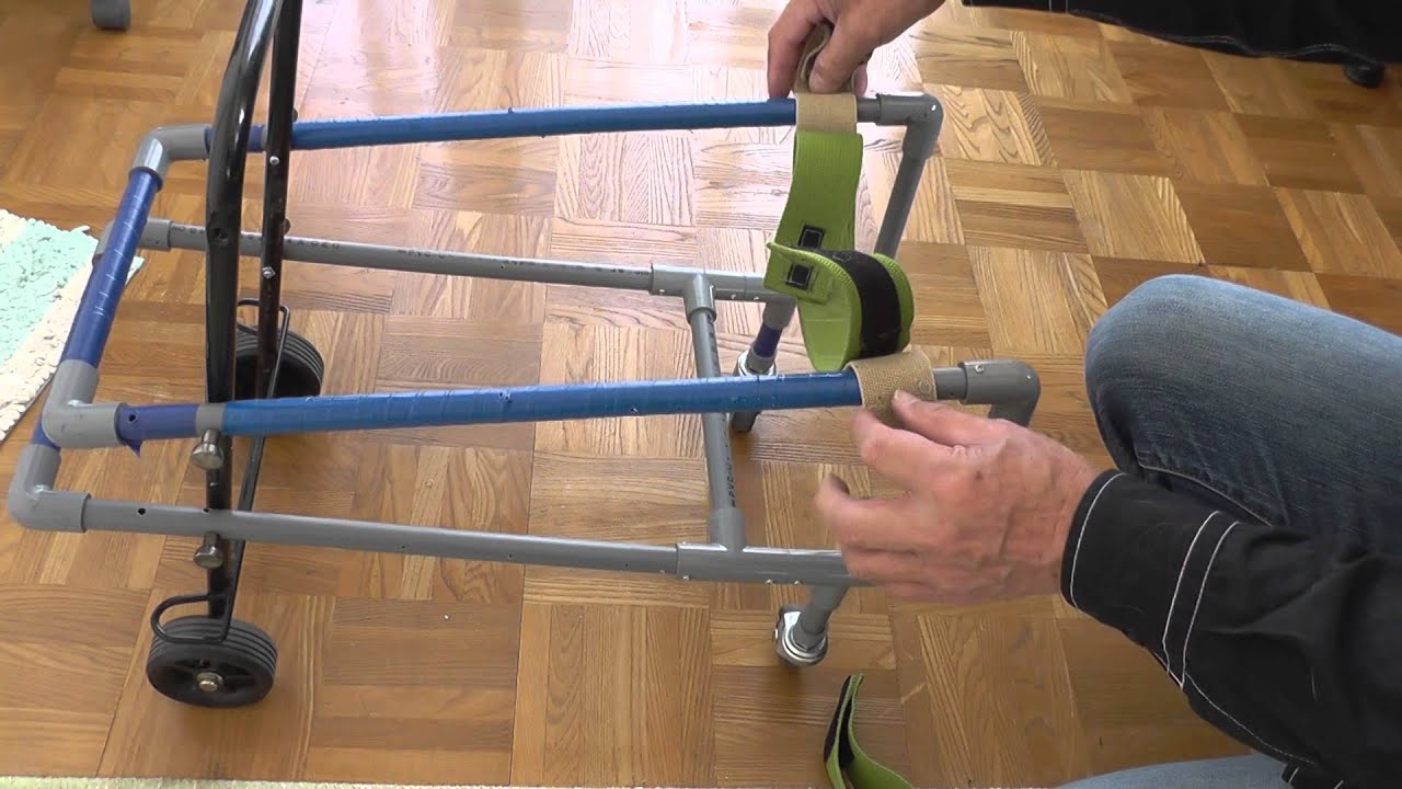 老犬介護　歩行器の作り方