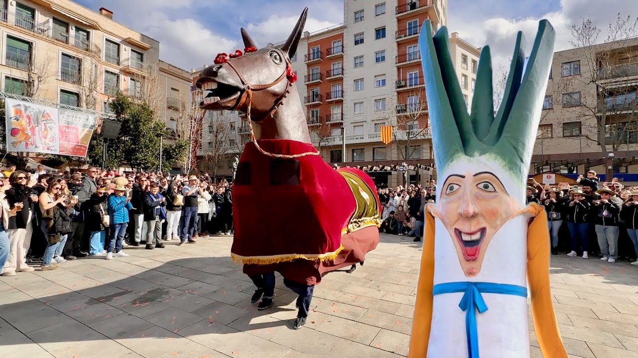 TOTS els BALLS de la MULASSA i del Gegant del CALÇOT de Valls