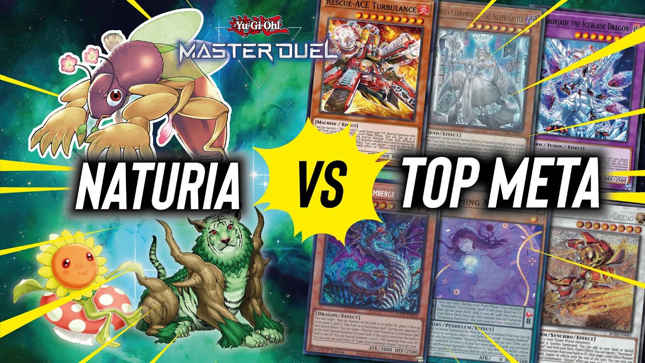 Naturia vs Mata Decks! Rank Match | Master Duel | Season 24 2024