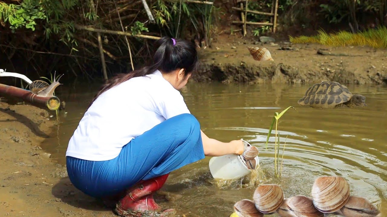 Find And Cook Big Mud Clam Shell || Cook In Village #myvillagelife #village
