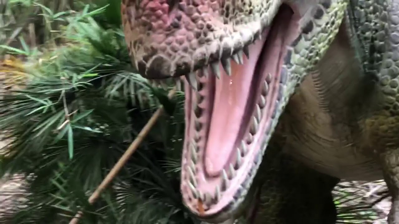 Dinosaur exhibit at the Jacksonville zoo (Dinosauria)