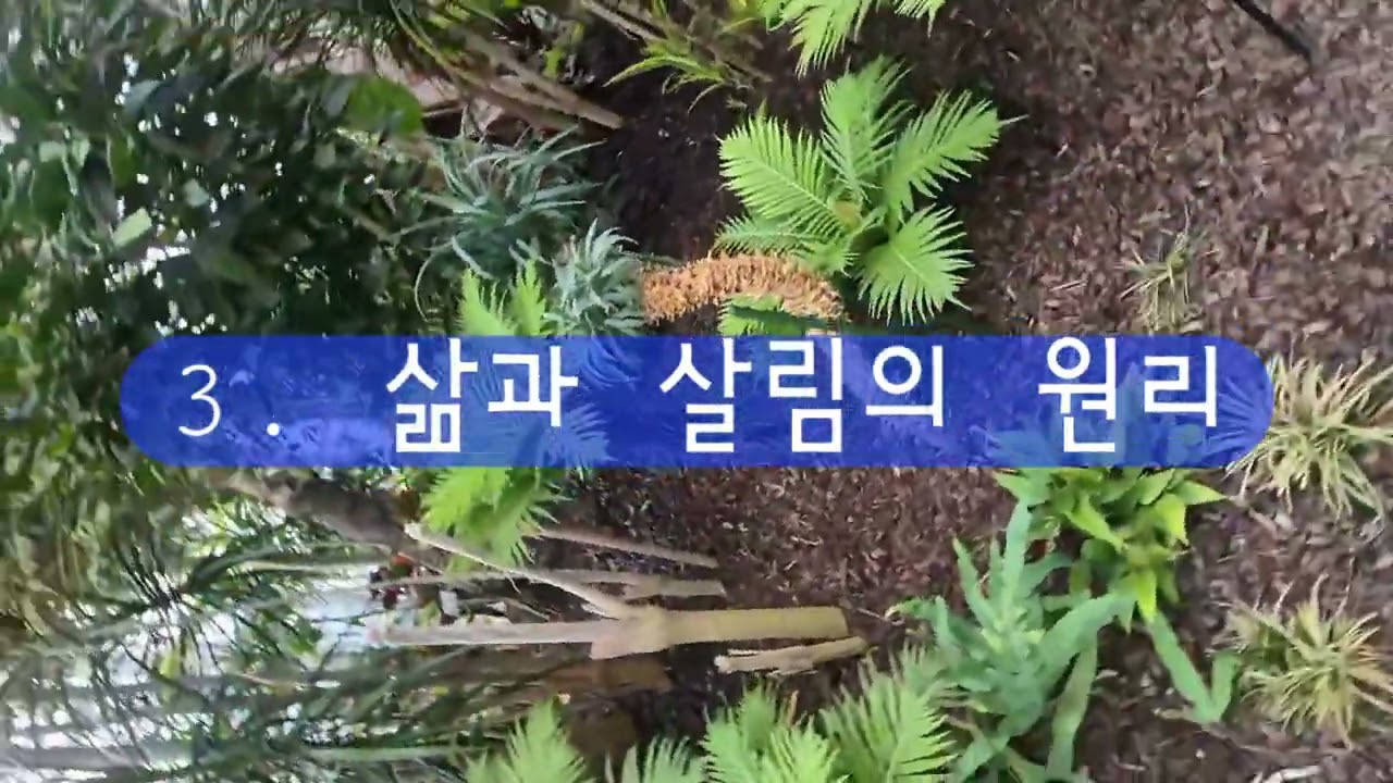 #생태유아교육의본질 #생태유아교육