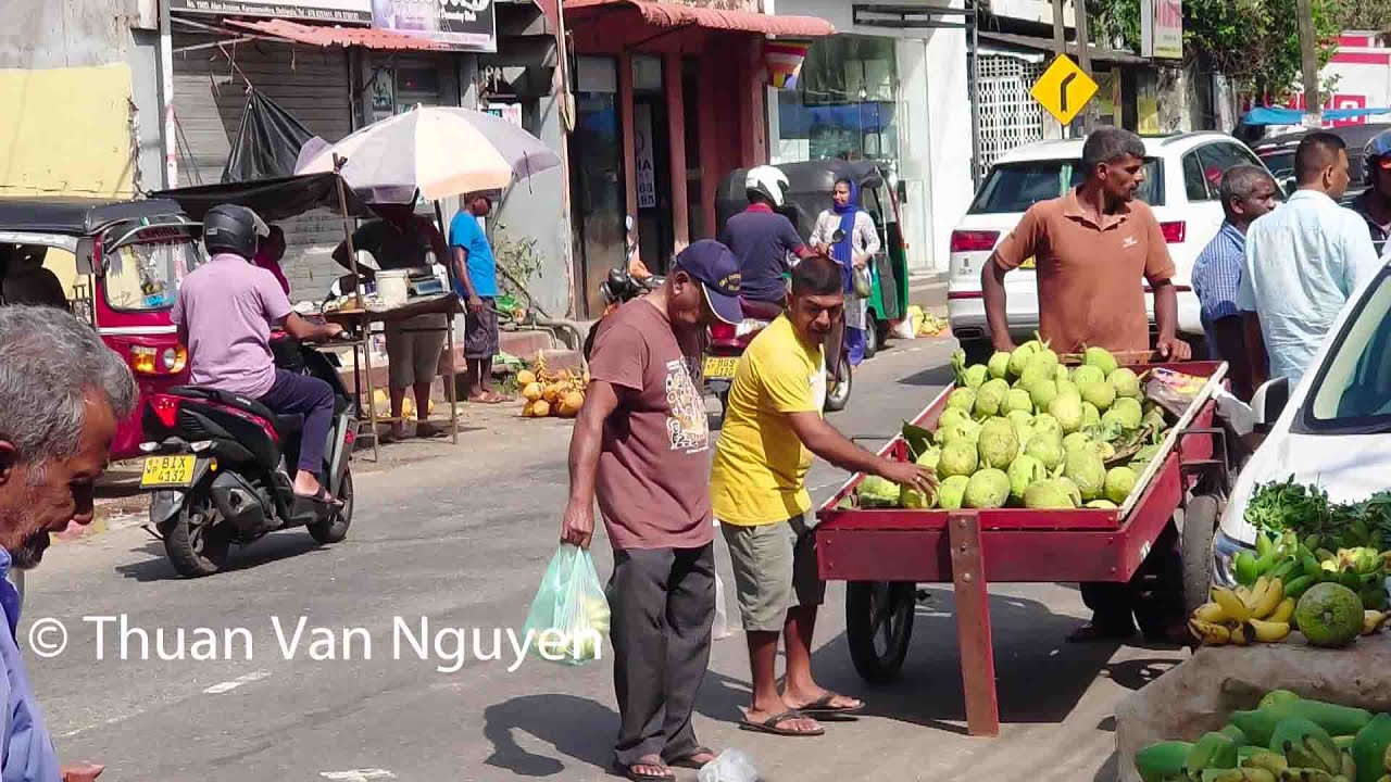 Sri Lanka || Colombo Suburbs Tour