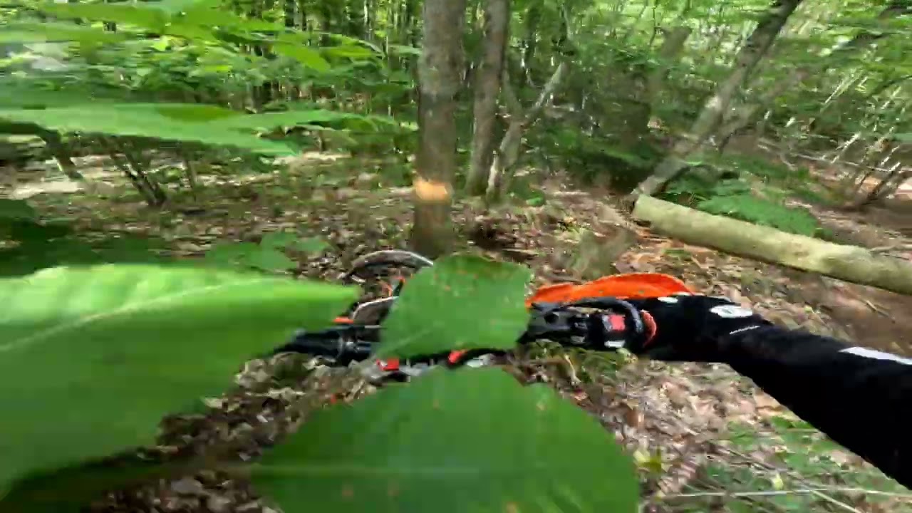  Great Solo riding the trails