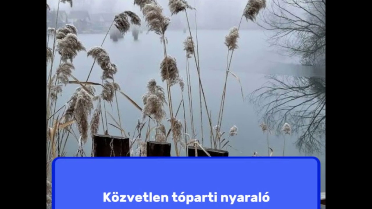Közvetlen tóparti nyaraló eladó Pécelen, a Tőzeg tónál