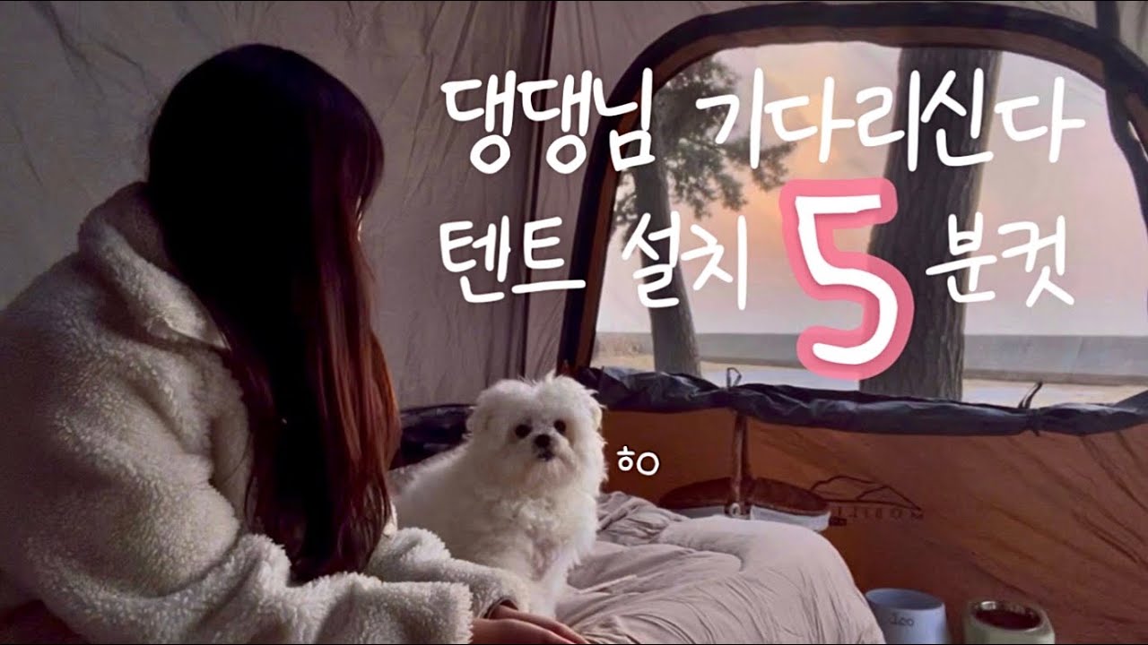 [솔로캠핑] 🚘차박텐트 피칭 5분컷, 도킹 없이 사용하기 | 애견동반캠핑 | 아이두젠 A10 max | 고창 구시포 노을캠핑장